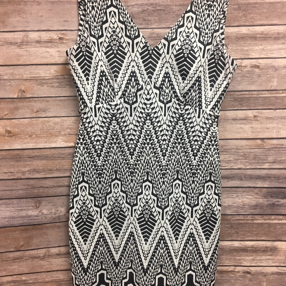 Calvin Klein Black and White Dress 4
